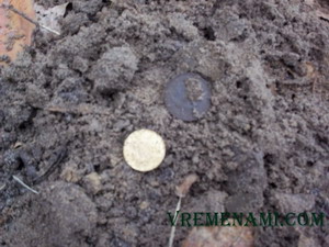 поиск монет в лесу
